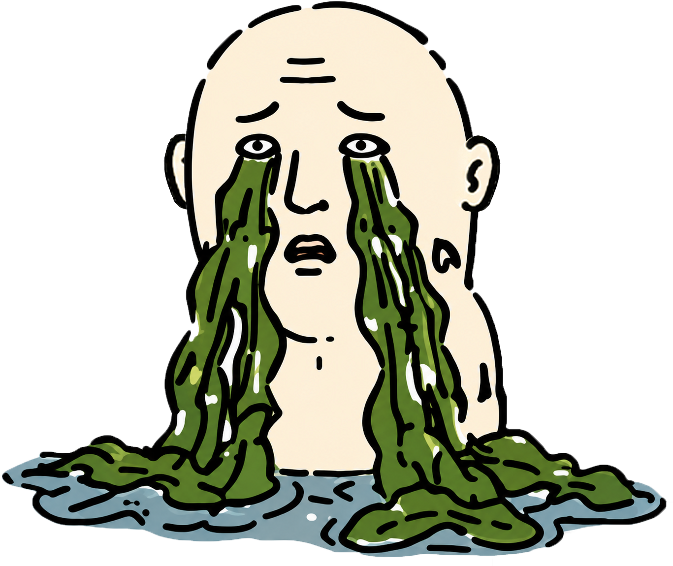 わけわかめスタンプ メイン画像