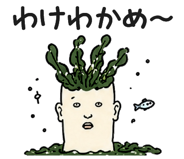 わけわかめ〜