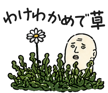 わけわかめで草