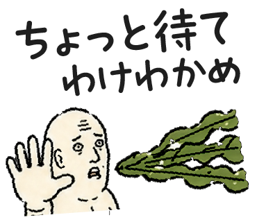 ちょっと待て わけわかめ